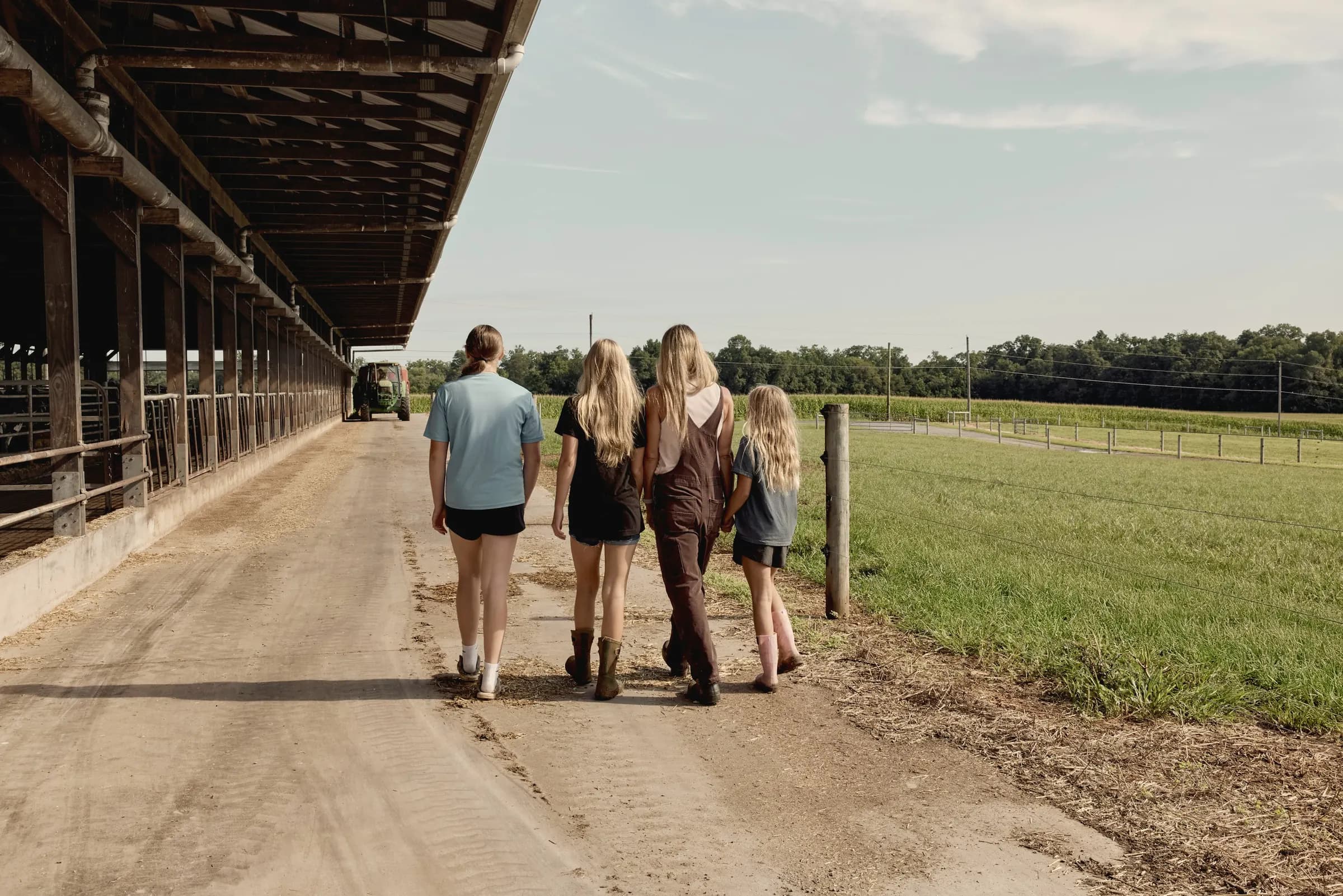 Four friends seen from behind walking a dirt lane alongside a long open barn and green pasture