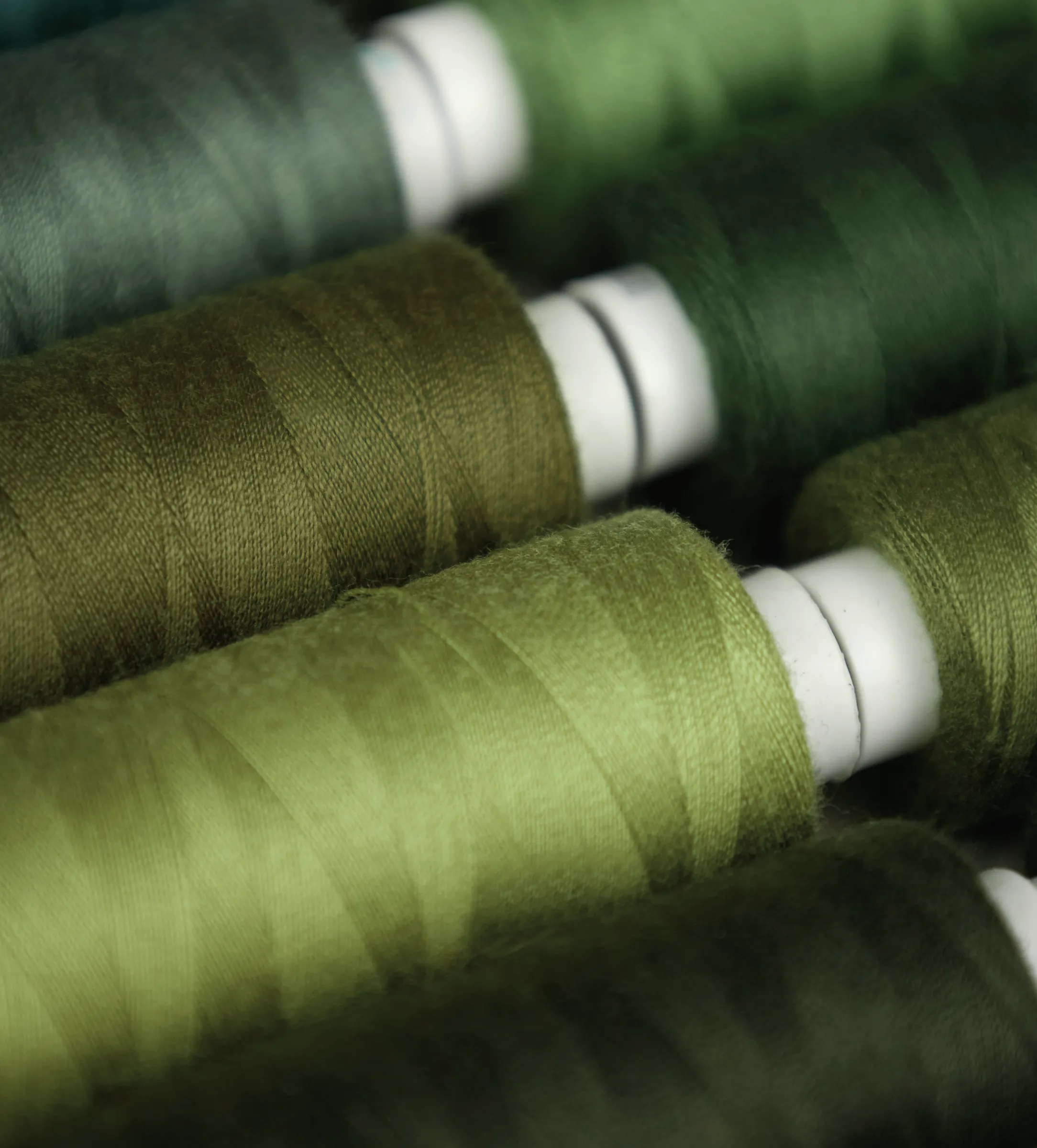 Close-up of thread cones in olive, moss, forest and chartreuse greens lying side by side